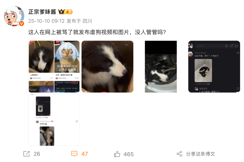 File:Xiaohongshu ID 95003574412 Weibo ZhengZongDieWeiJiang.png