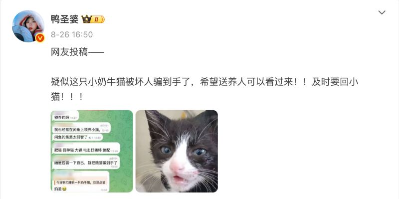 File:Jiang Xu case weibo.jpg