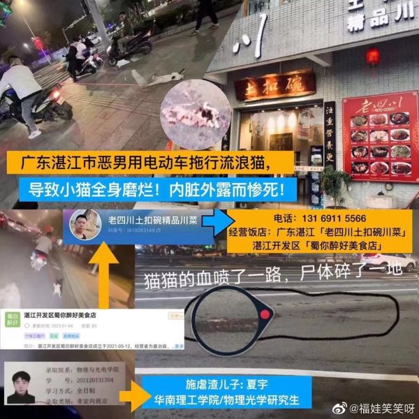 File:An online poster exposing Xia..jpg