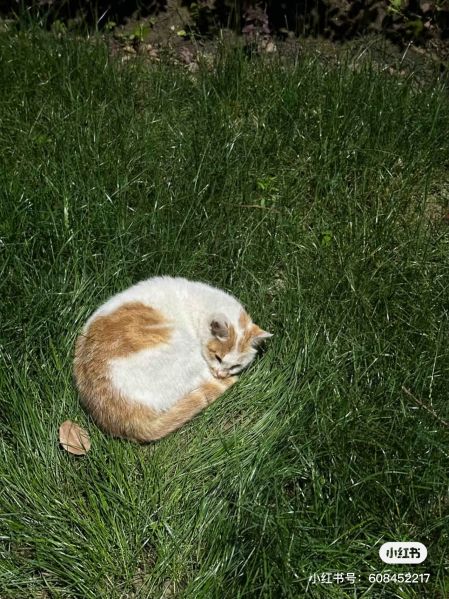 File:Xue Jie Pic 18.jpg