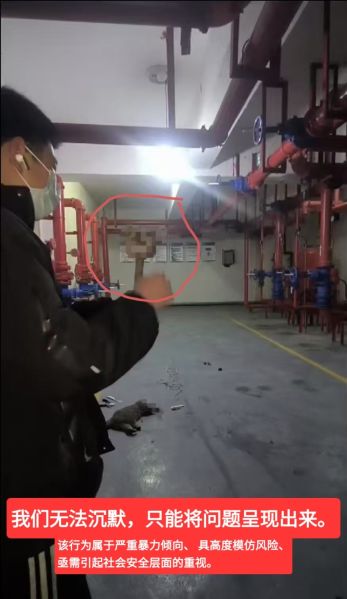 File:Zhao Kang Xu brutality.jpg