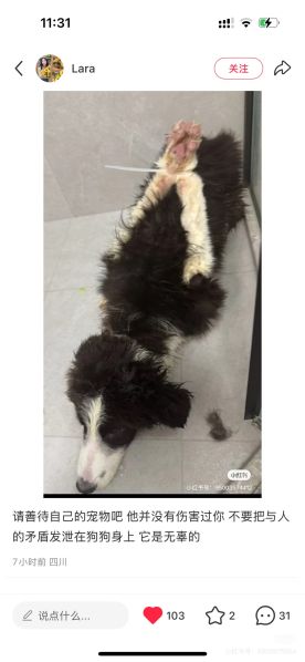 File:Xiaohongshu ID 95003574412 post 8.jpg