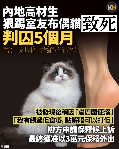 File:Yu Ling Ke case.jpg