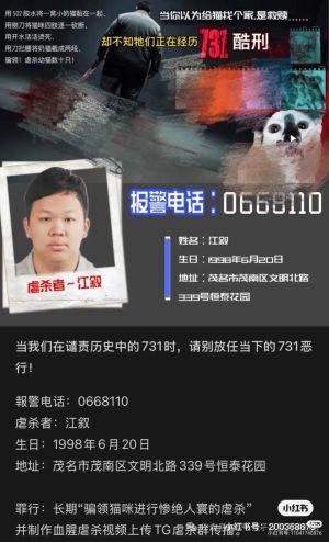 An online poster about Jiang