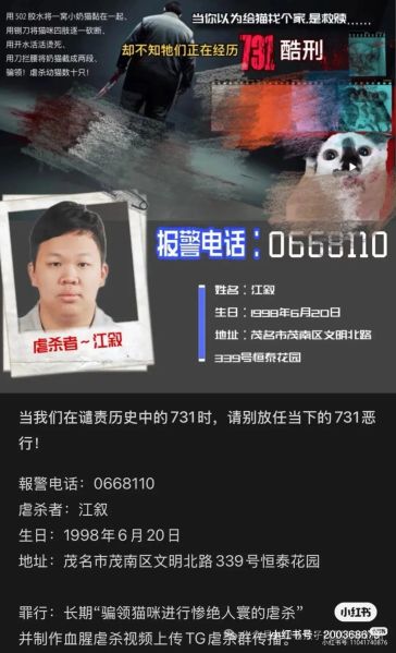 File:Jiang Xu case online poster.jpg