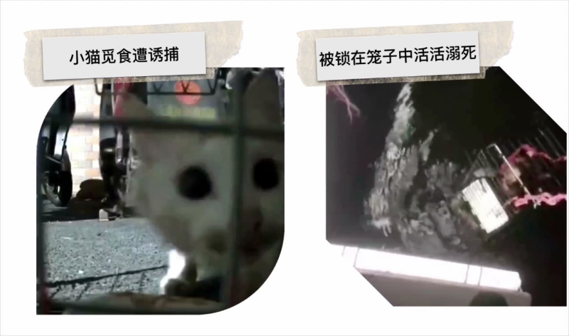 File:Yuan Han Fu case.png