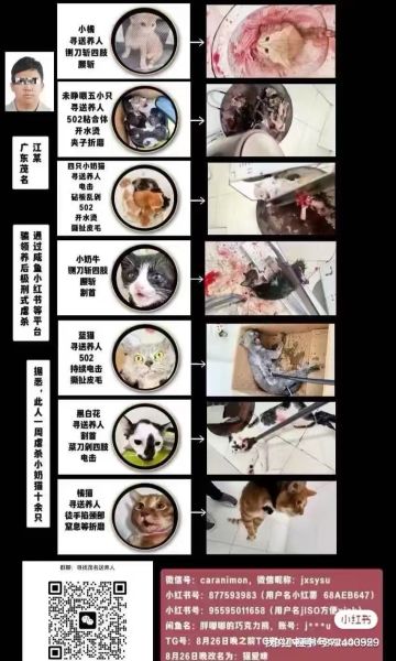 File:Jiang Xu case.jpg