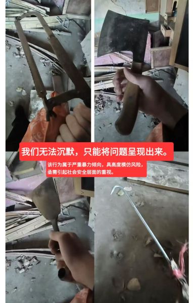 File:Zhao Kang Xu brutality2.jpg