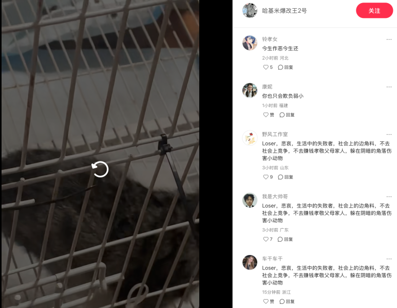 File:Xiaohongshu ID 26238804338 post screenshot.png