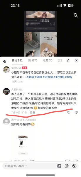 File:Douyin ID 2027379116 comment.jpg