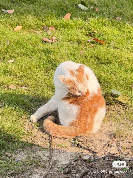 File:Xue Jie Pic 16.jpg